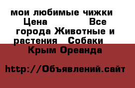 мои любимые чижки › Цена ­ 15 000 - Все города Животные и растения » Собаки   . Крым,Ореанда